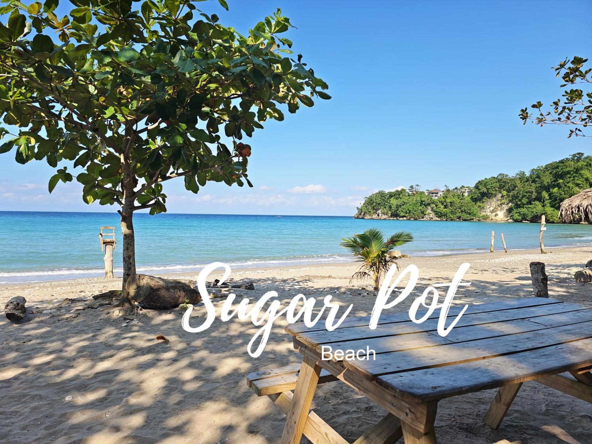 Chrisanns Paradise Suite By The Ocean - Apt#9 Ocho Rios Ngoại thất bức ảnh