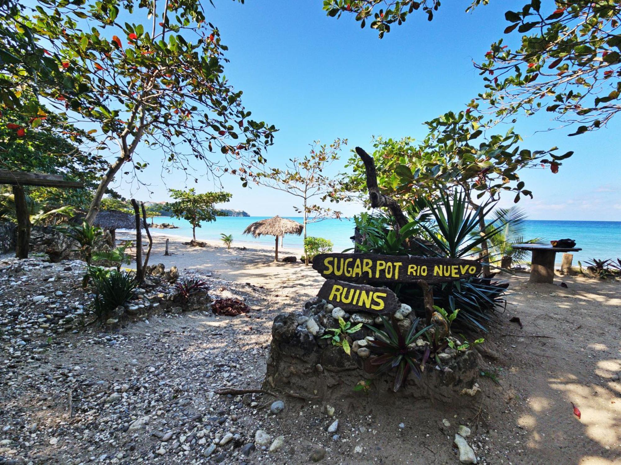 Chrisanns Paradise Suite By The Ocean - Apt#9 Ocho Rios Ngoại thất bức ảnh